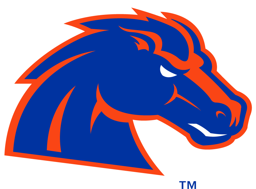 Boise State Bronco 2012-2013 Secondary Logo iron on transfers for T-shirts